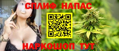 молекула духа Будённовск