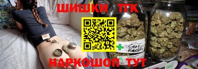 молекула духа Будённовск
