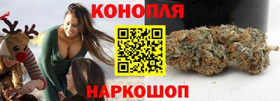 молекула духа Будённовск