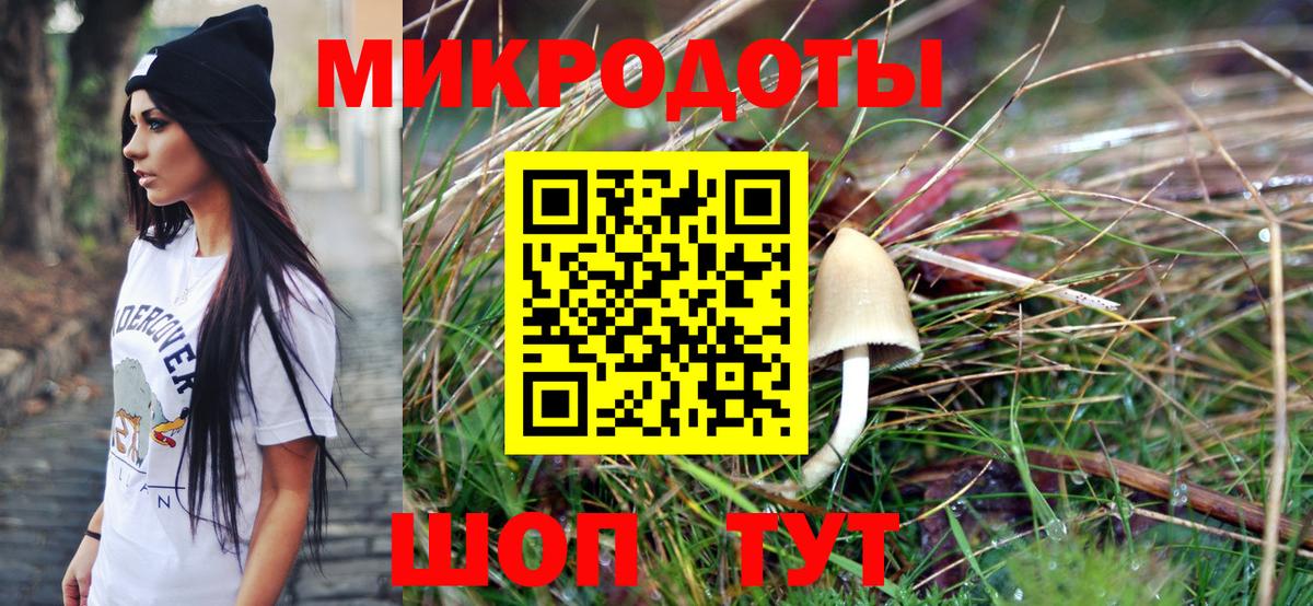 Галлюциногенные грибы прущие грибы Сосновый Бор