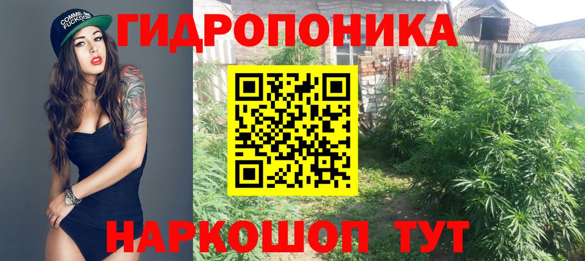 Бошки марихуана конопля Сосновый Бор